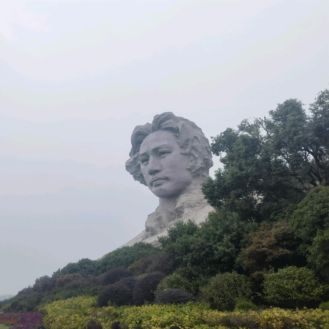摸摸