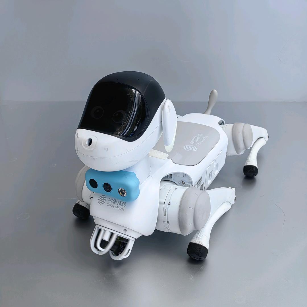 机器狗与喵星人