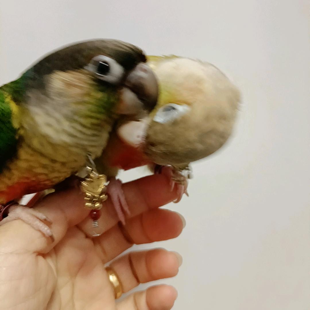 🎀木木玲💝