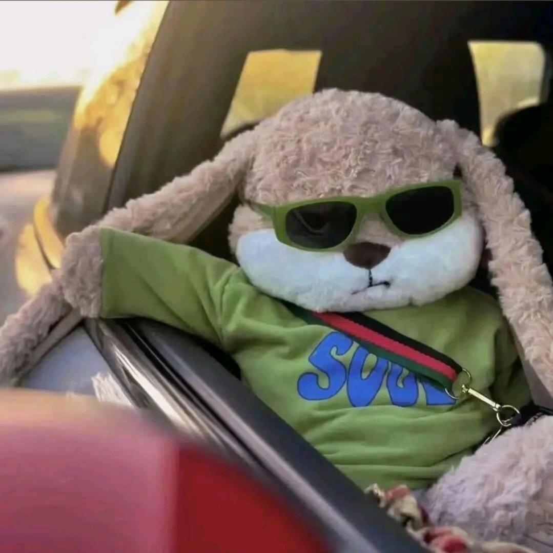 有礼貌🕶🎓😼