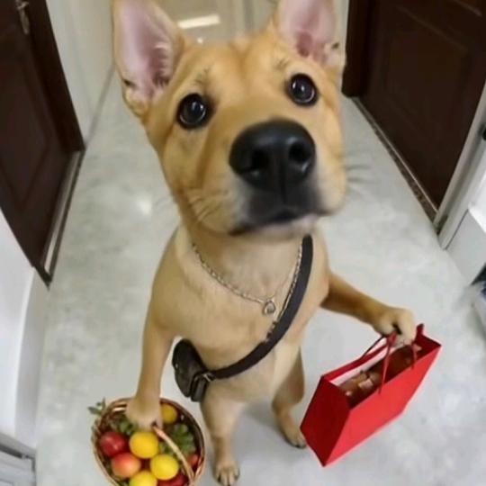 ઇଓ壹杯敬相逢♡Lᵒᵛᵉ