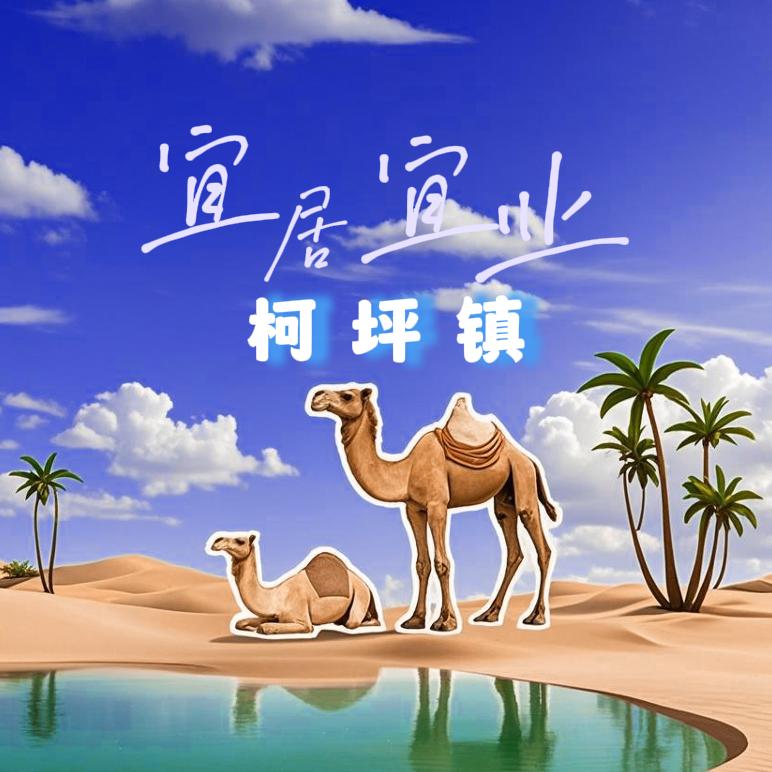 康养驼城  宜居宜业柯坪镇