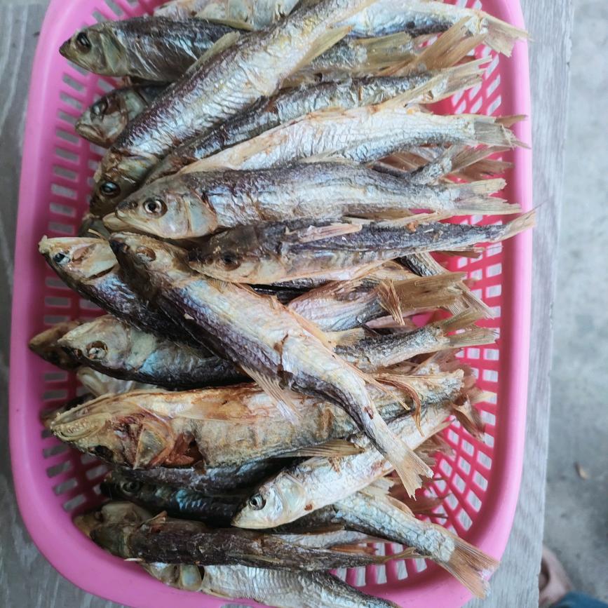 心想事成，