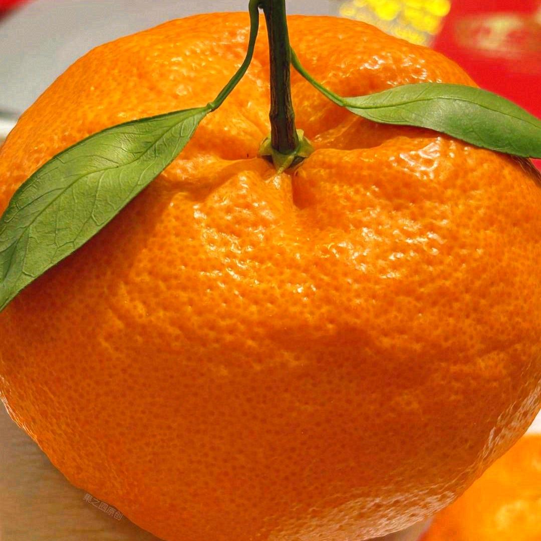 🍒͡° ͜ʖ ͡°一杯浊酒敬余生💦