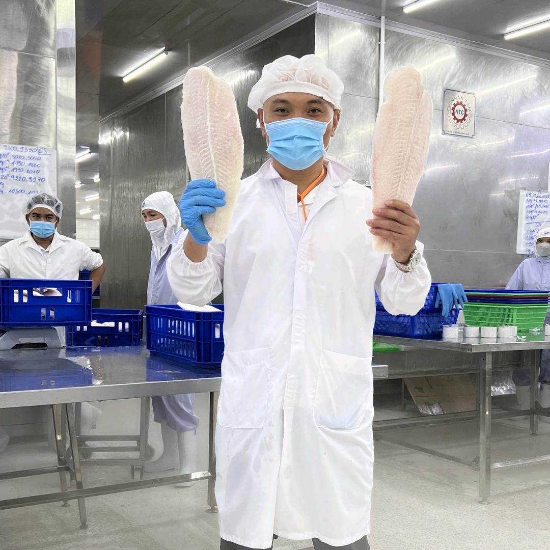 巴沙鱼系列厂家直供