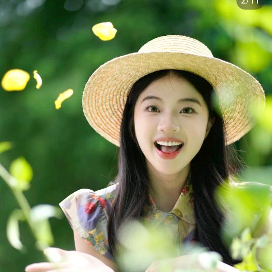 绵羊