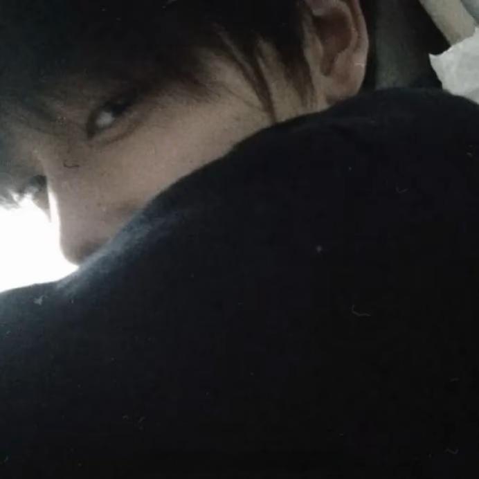 @小高的捷克狼犬