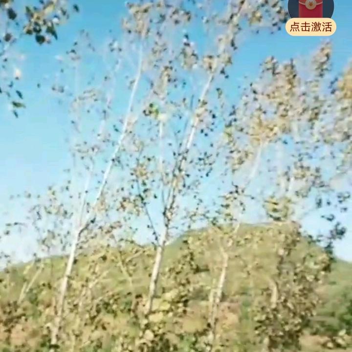 人生赢家