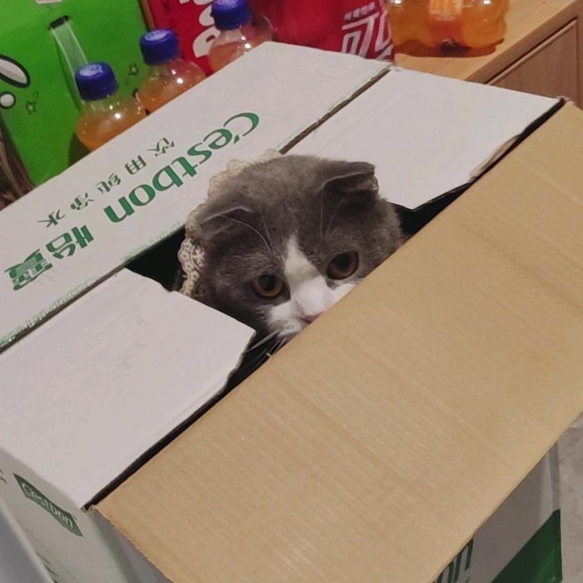 心有草木向阳生