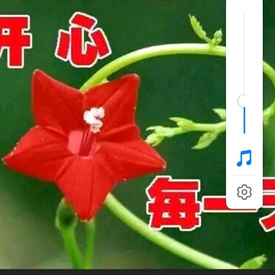 彩霞