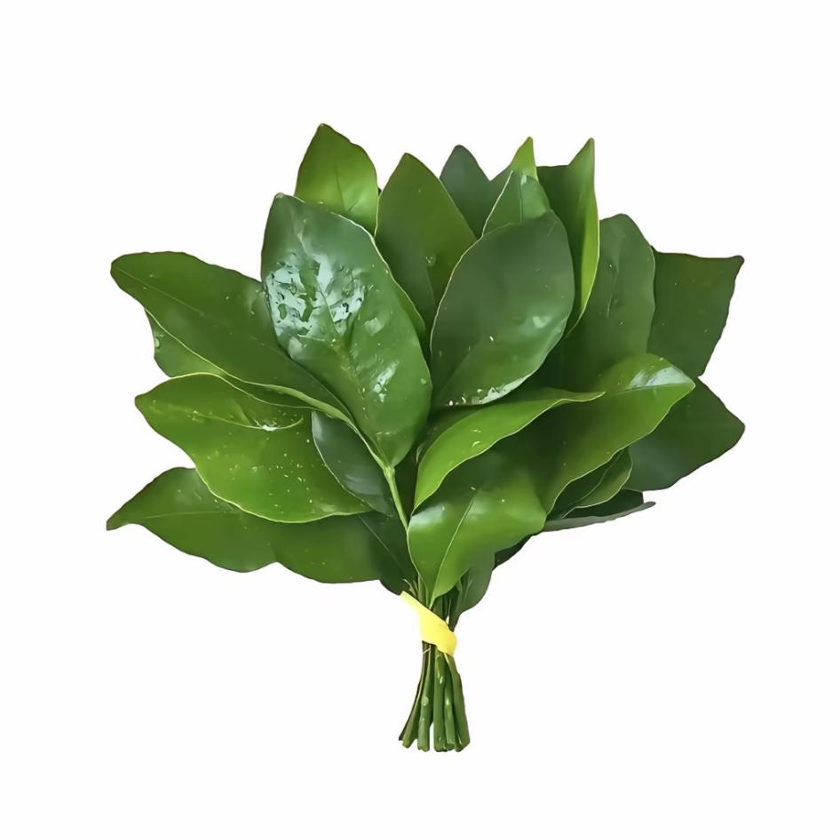 疯批男主强制爱八十五岁阿姨夜晚翻窗叫宝