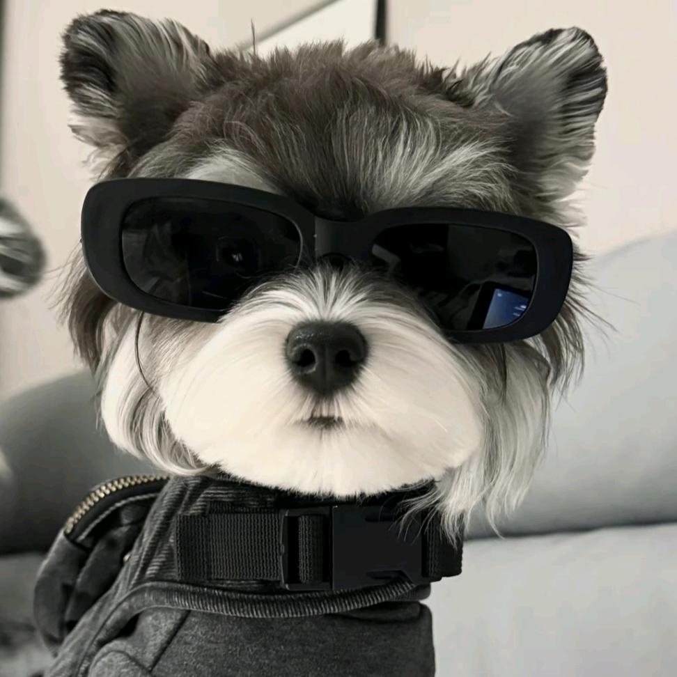 🇯ᴵᴇ