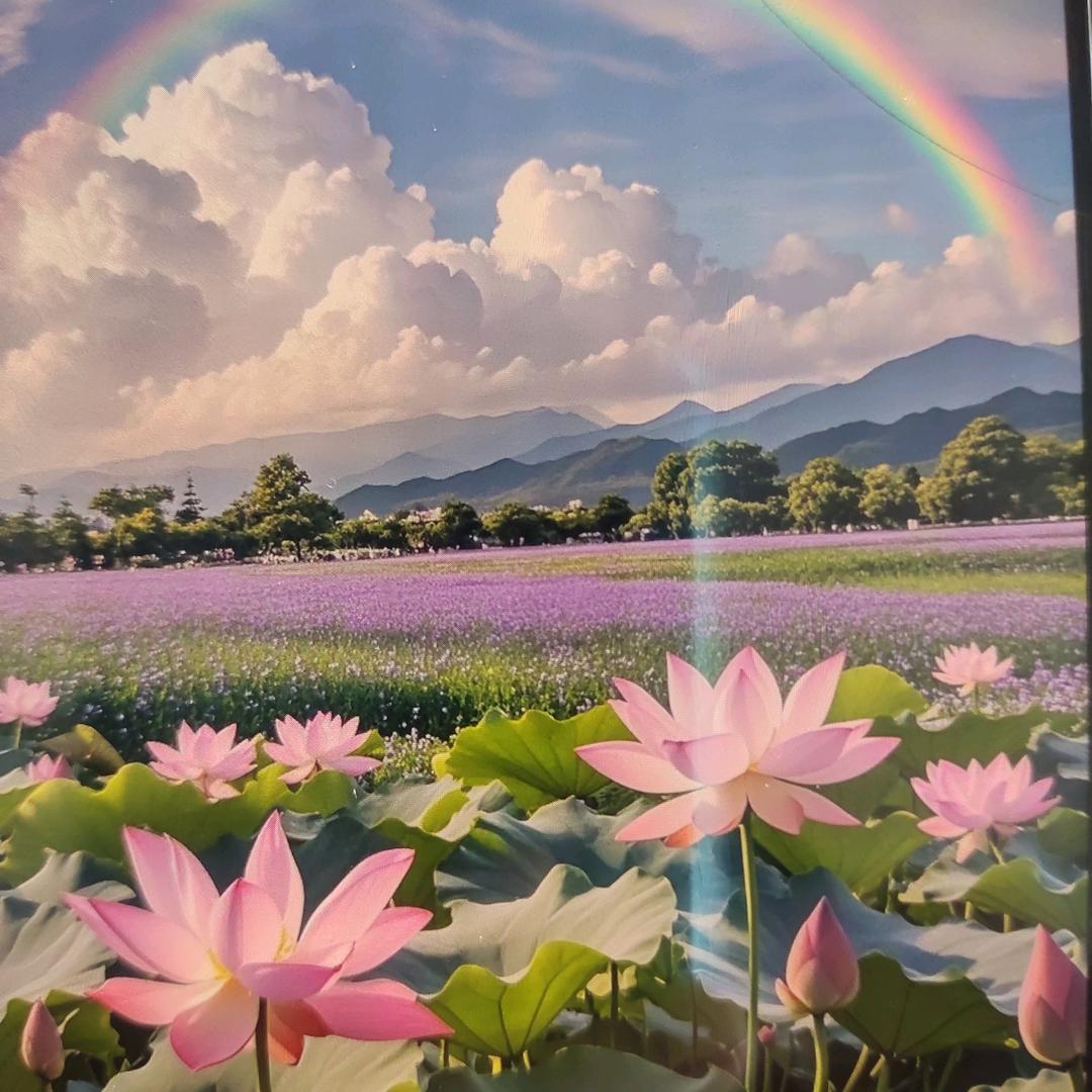 雨露头像