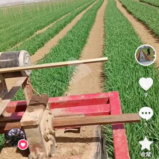 专业旋辣椒套西瓜套