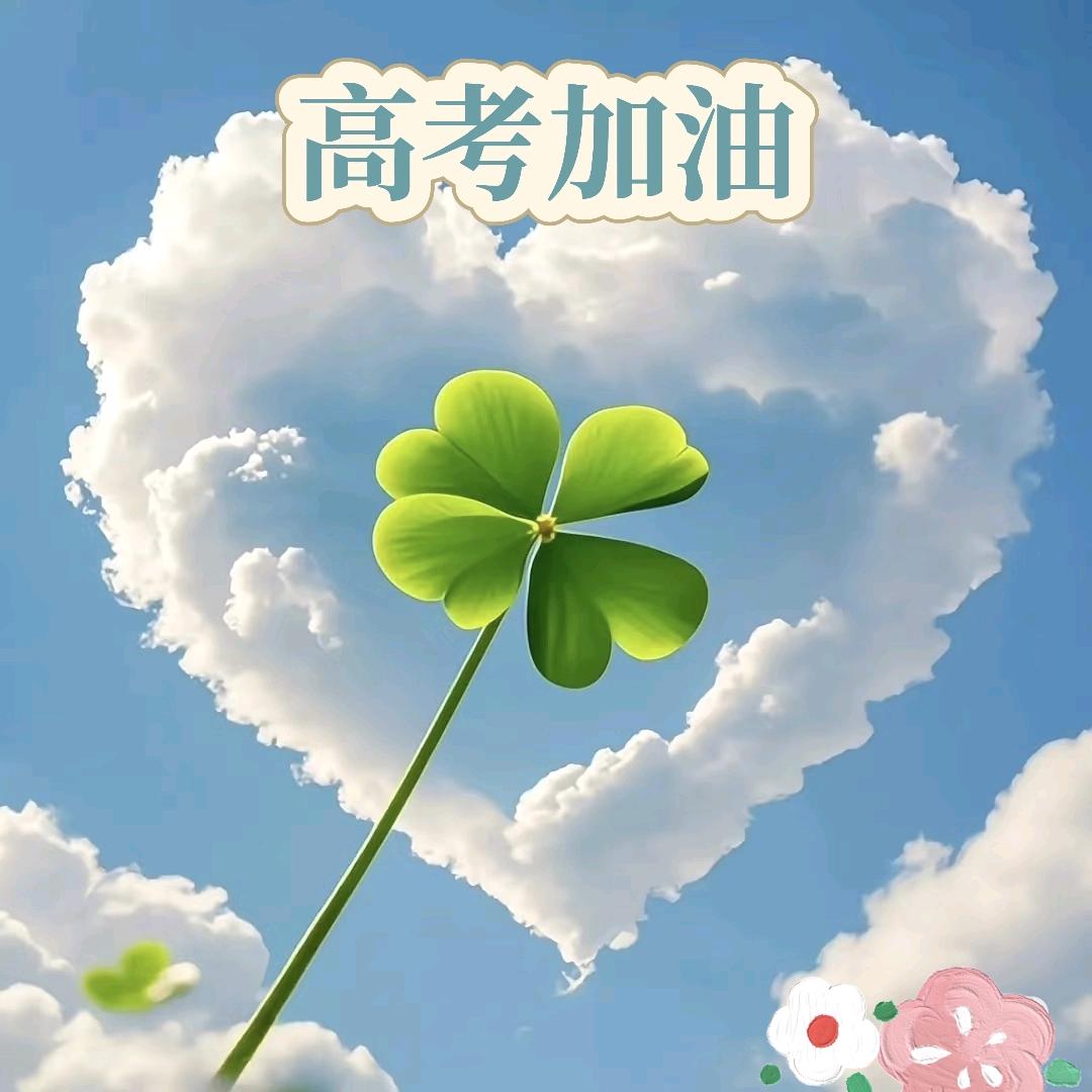 巅峰志愿-夏老师