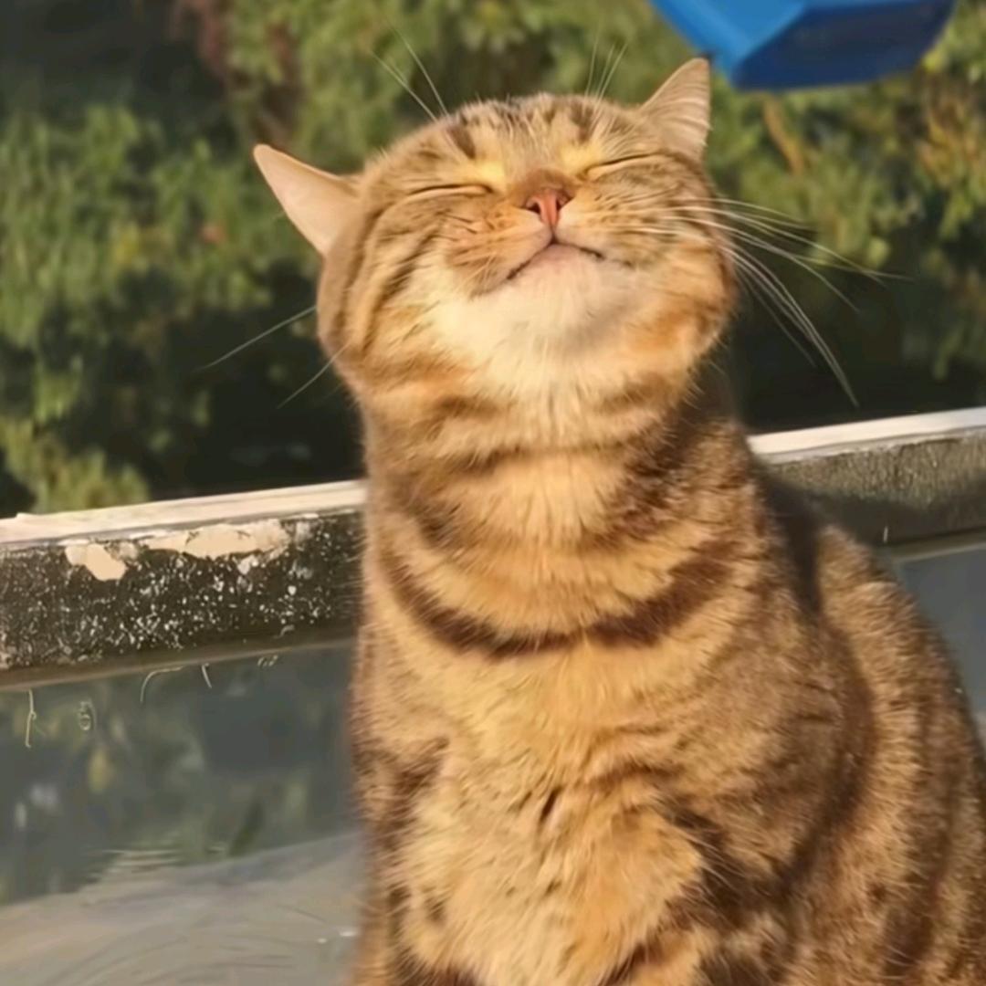 钟哈哈