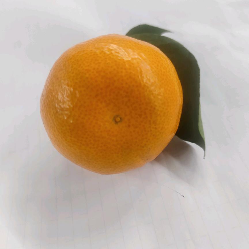 快乐一生