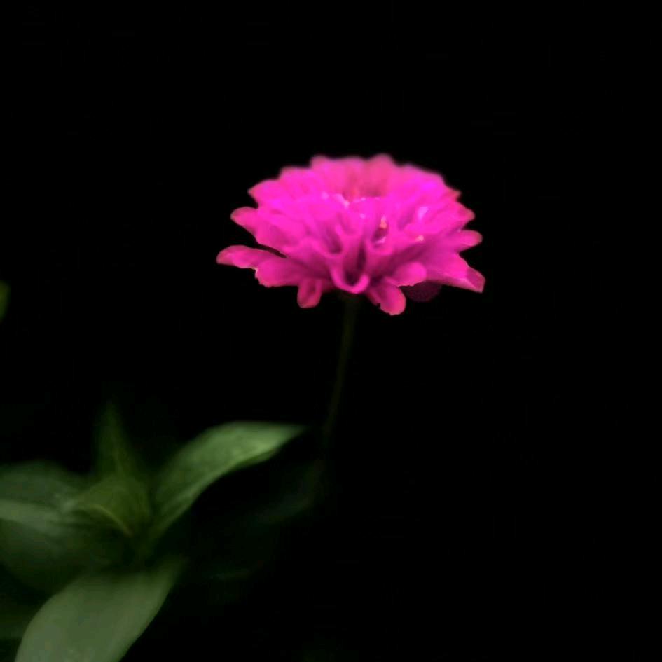 默默(拒绝私聊)