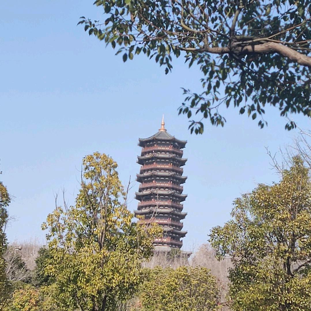 如花似锦