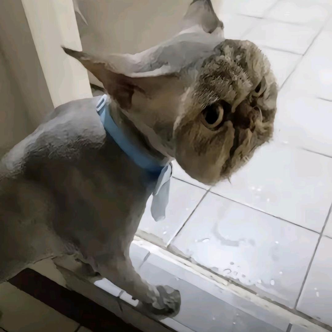 啊辉