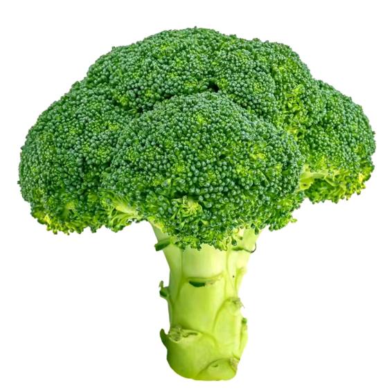 回到明天