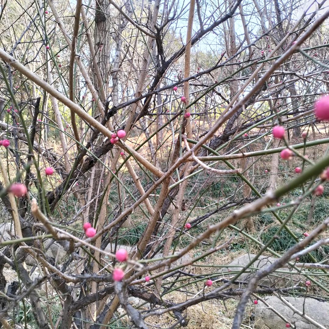 两只羊高端系统门窗城市工厂