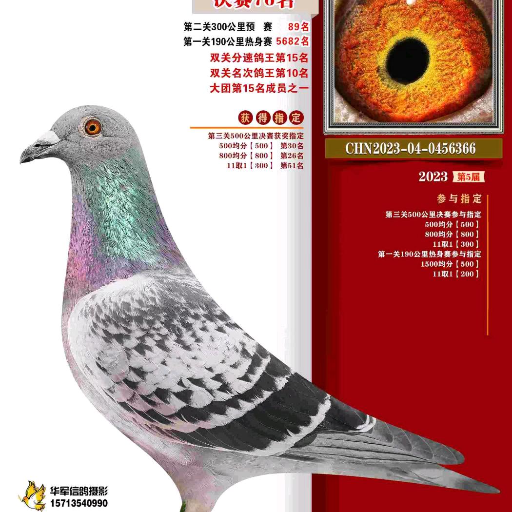 🇨🇳柒叁玖陽