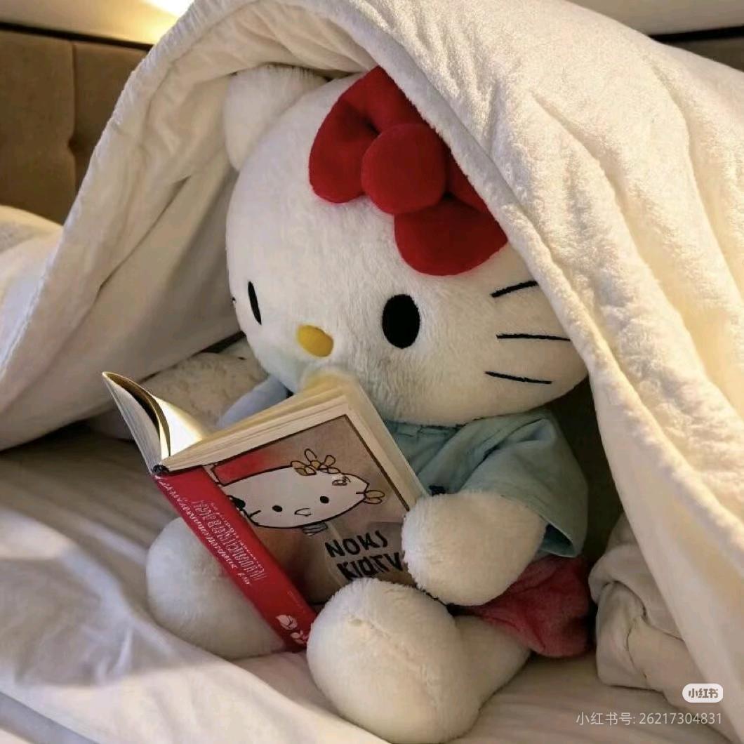 Kitty你个大胖猫