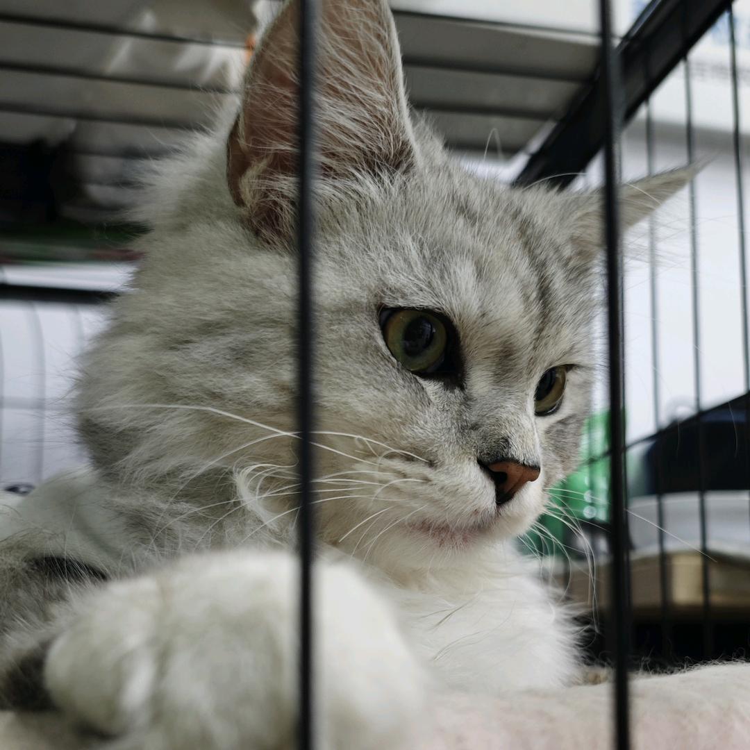 湛江铖嘉精选水产