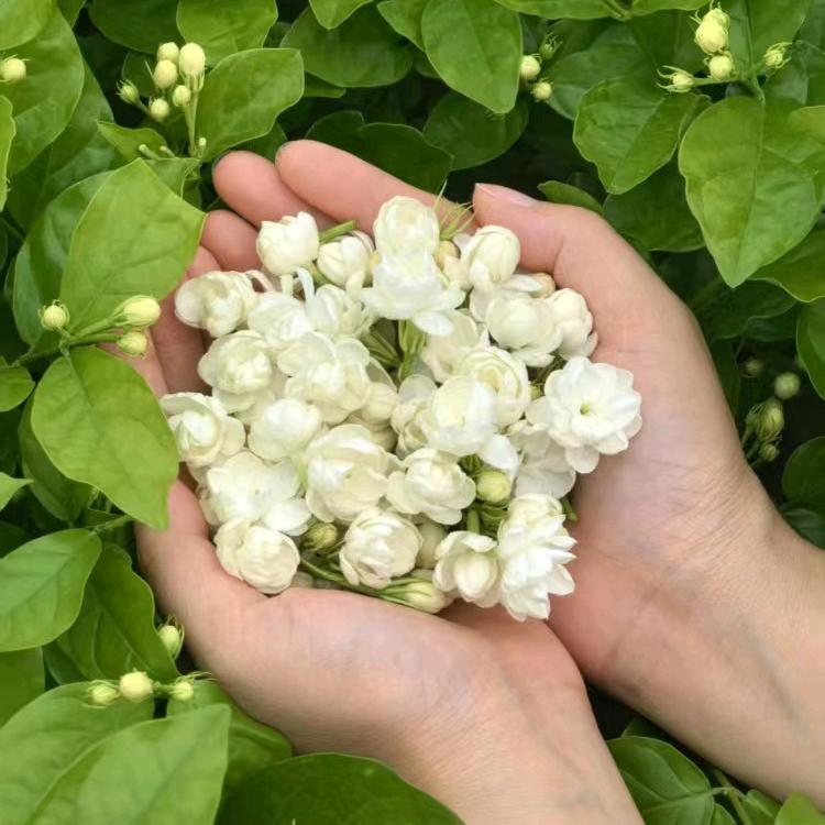 忠于自己 不取悦他人