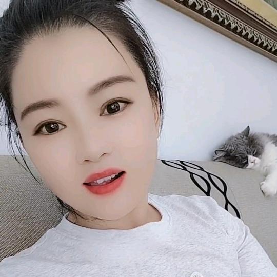 宝瓶虎