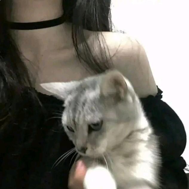 婉婉婉婉婉婉婉婉