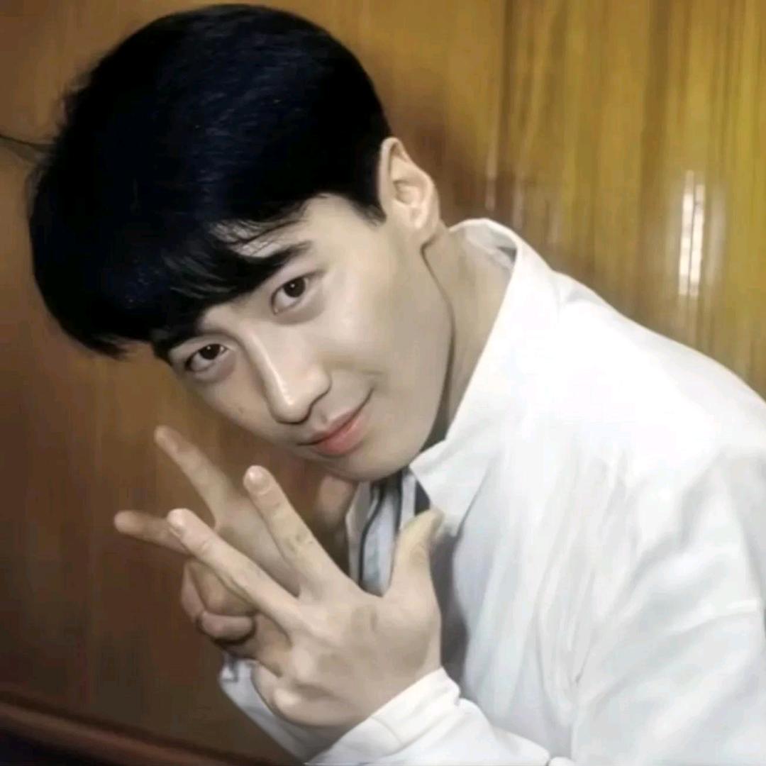 花书琴