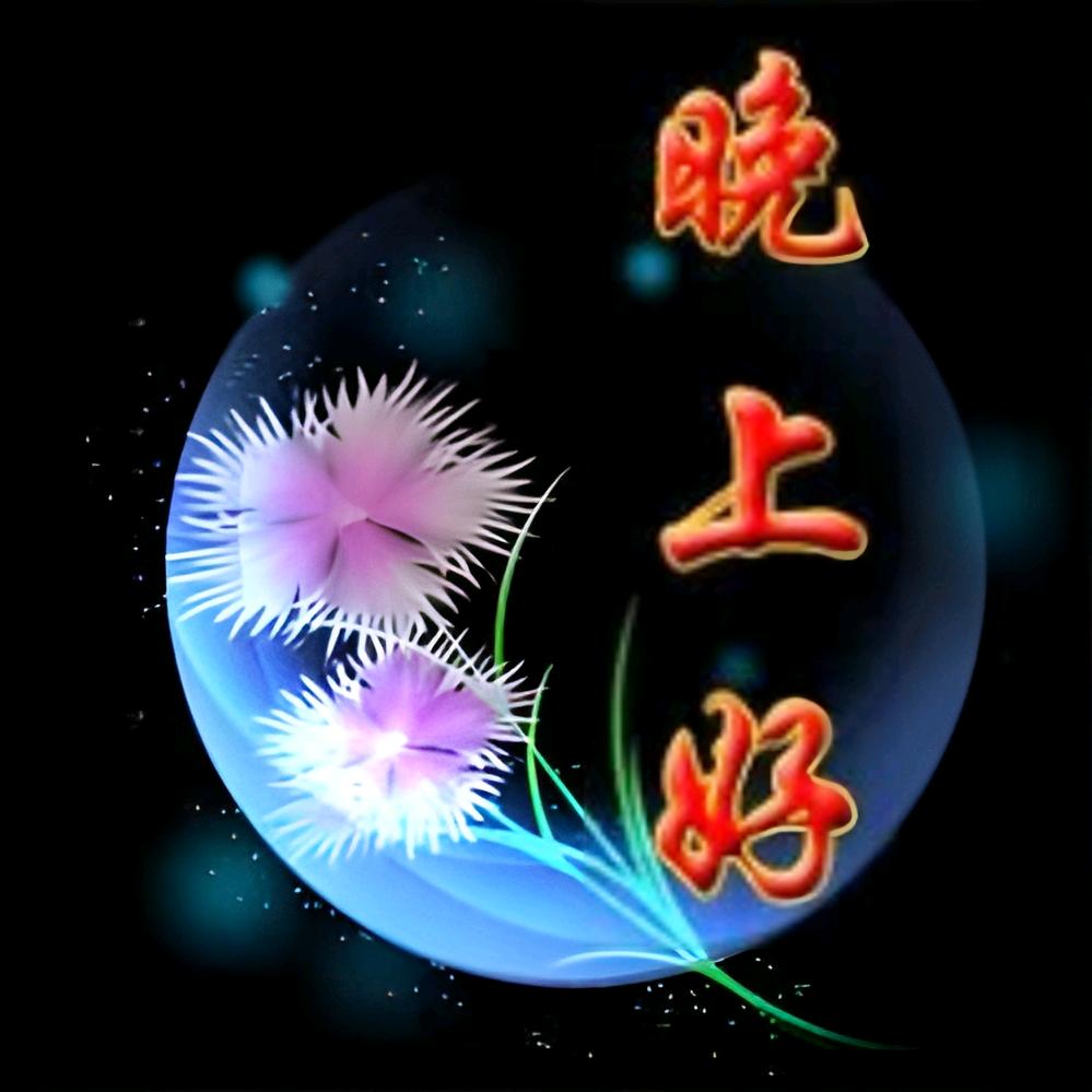 你我本无缘何必在纠缠