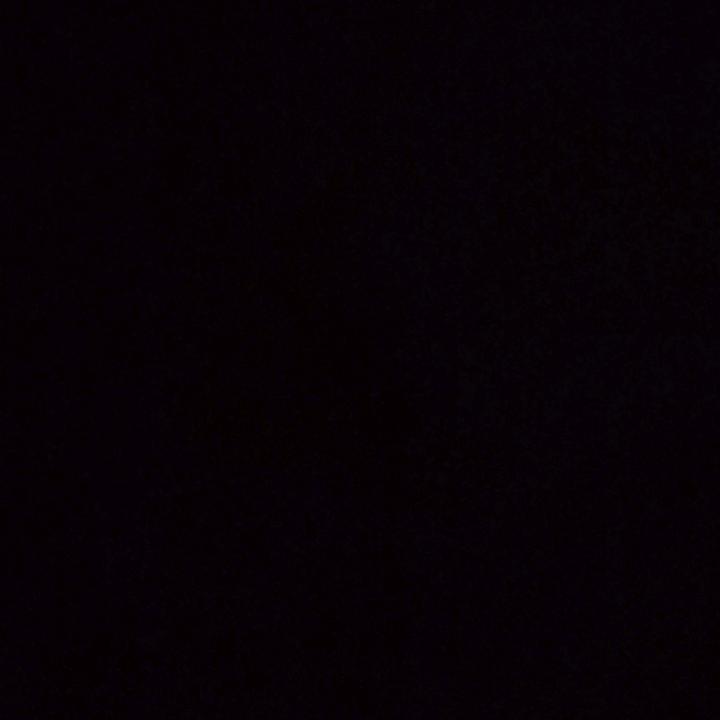 感恩陪伴