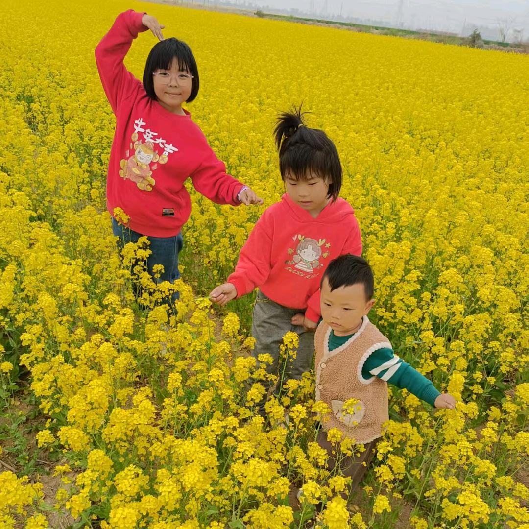 梦想很丰满，现实很残酷