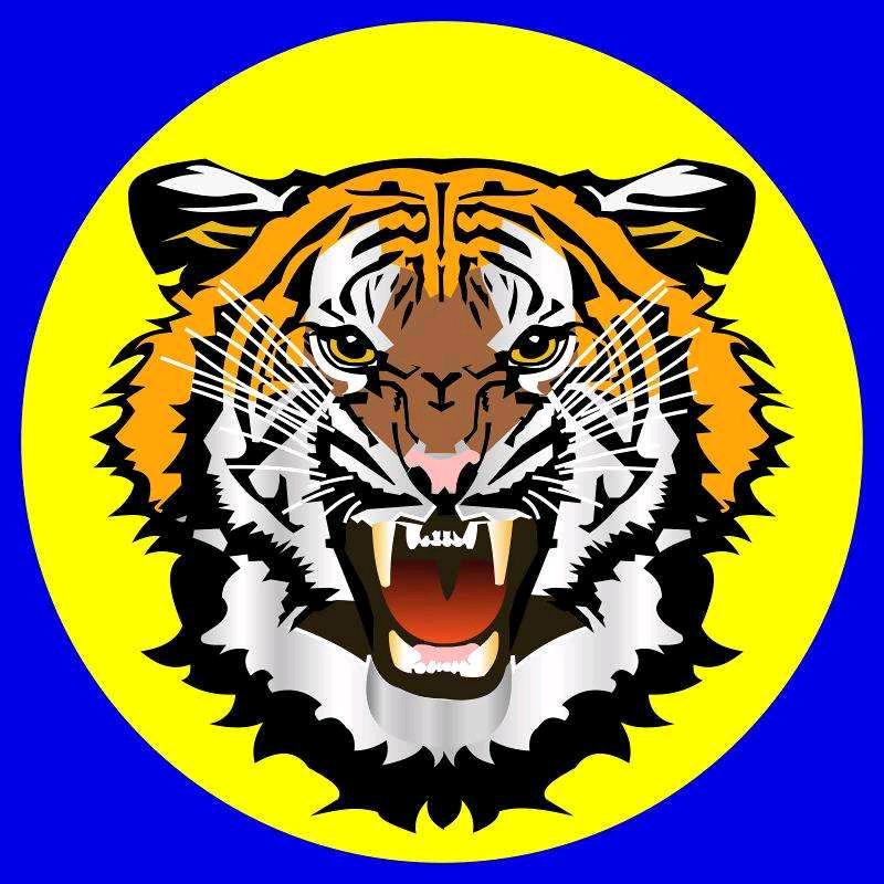 小男孩