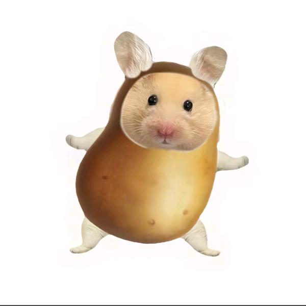 哈基鼠🐹