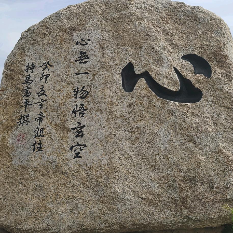 大信鸽