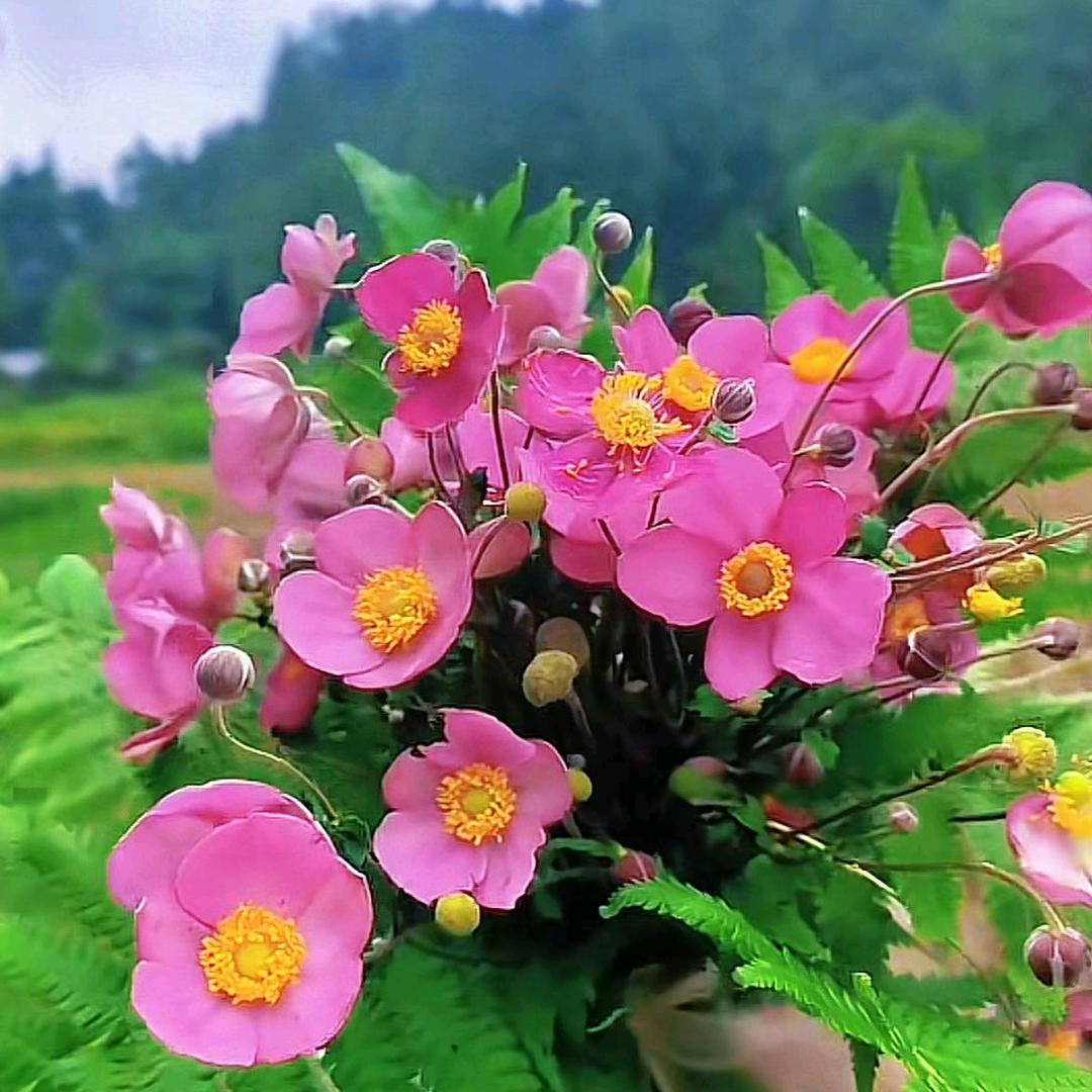 ソ寶貝*^_^*戀伱