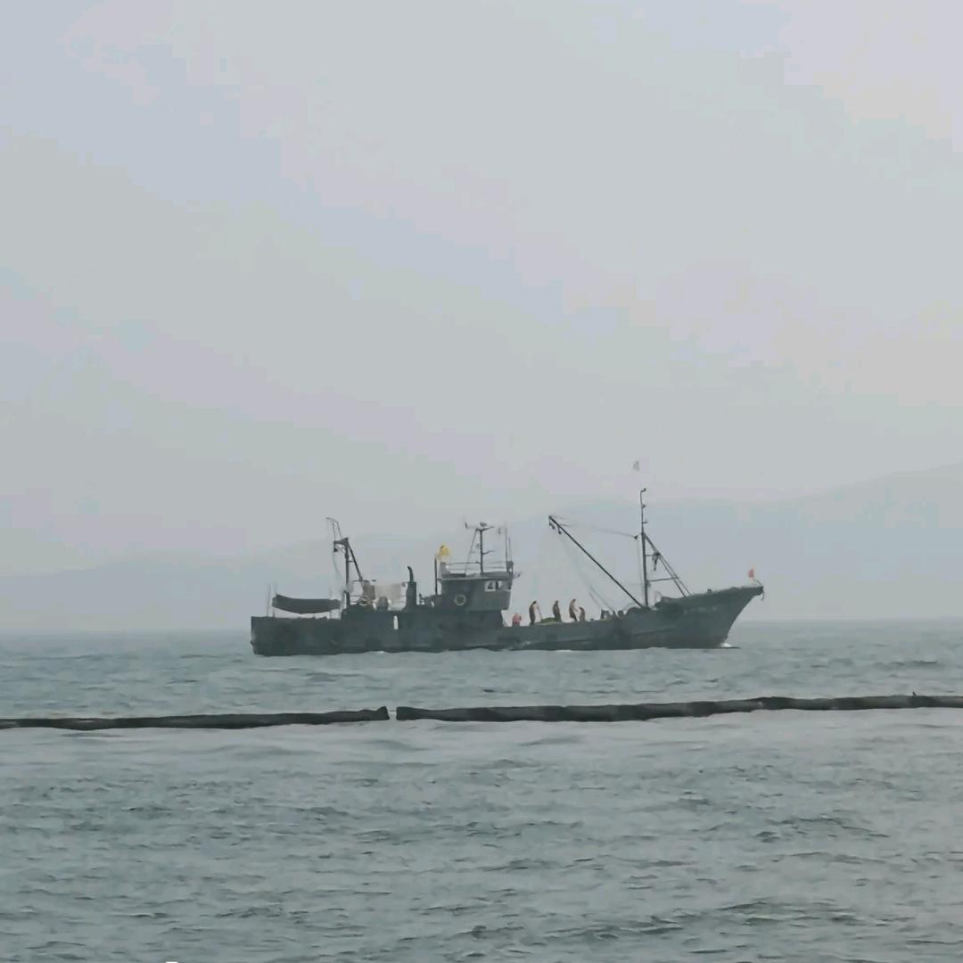 守法
