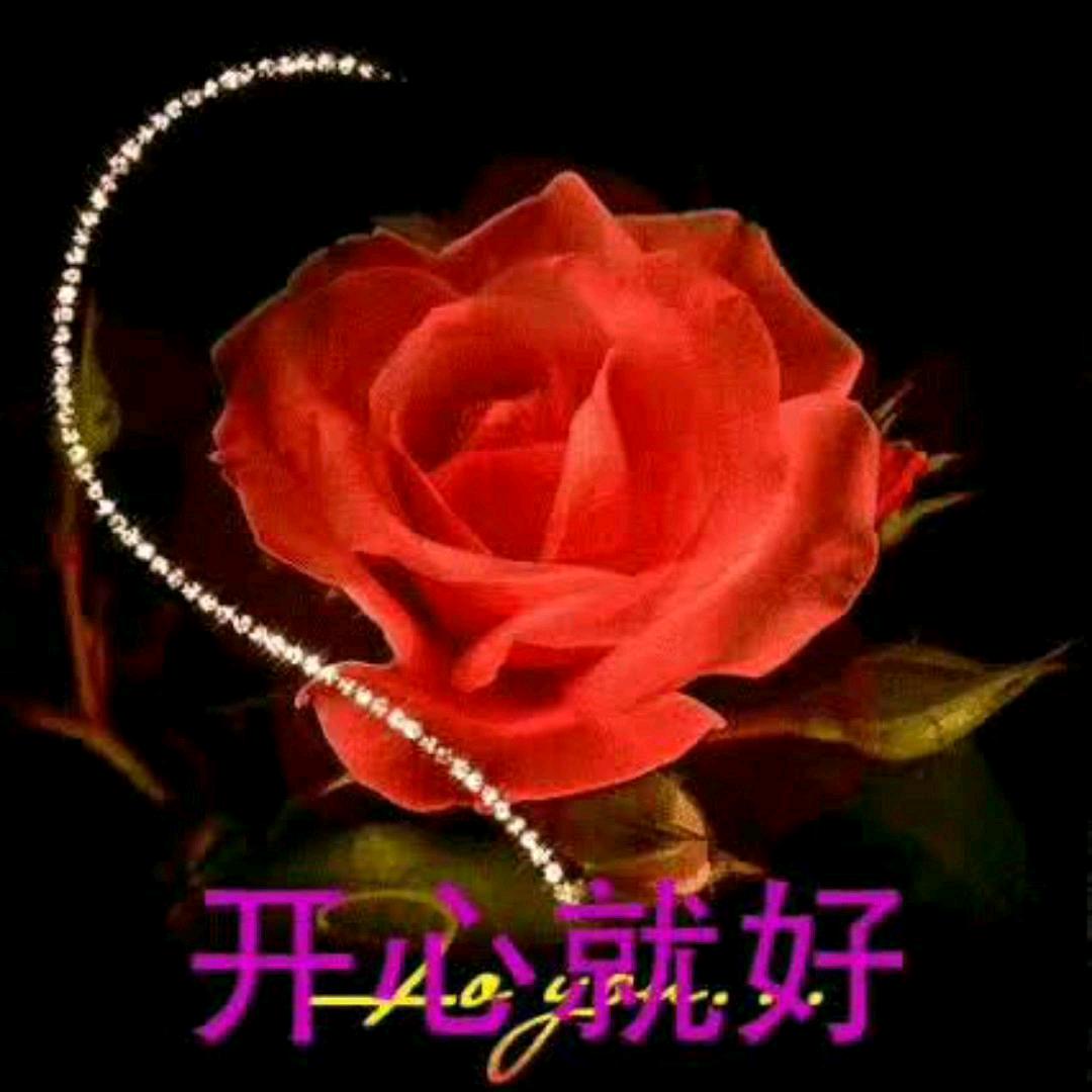 一生无悔，荣县人爰荣县