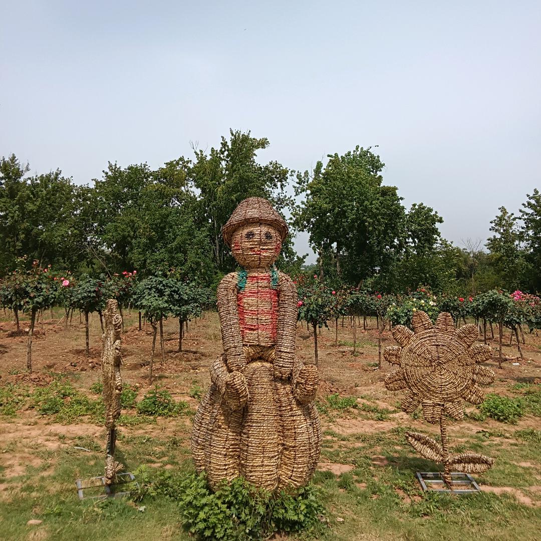 ～喵喵爱钓鱼～