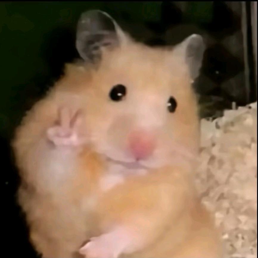 顾摆摆