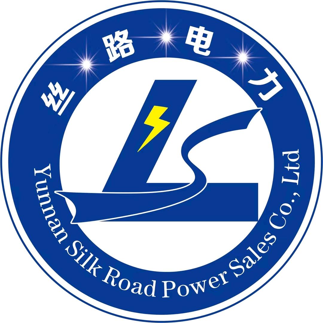 丝路电力―张雄