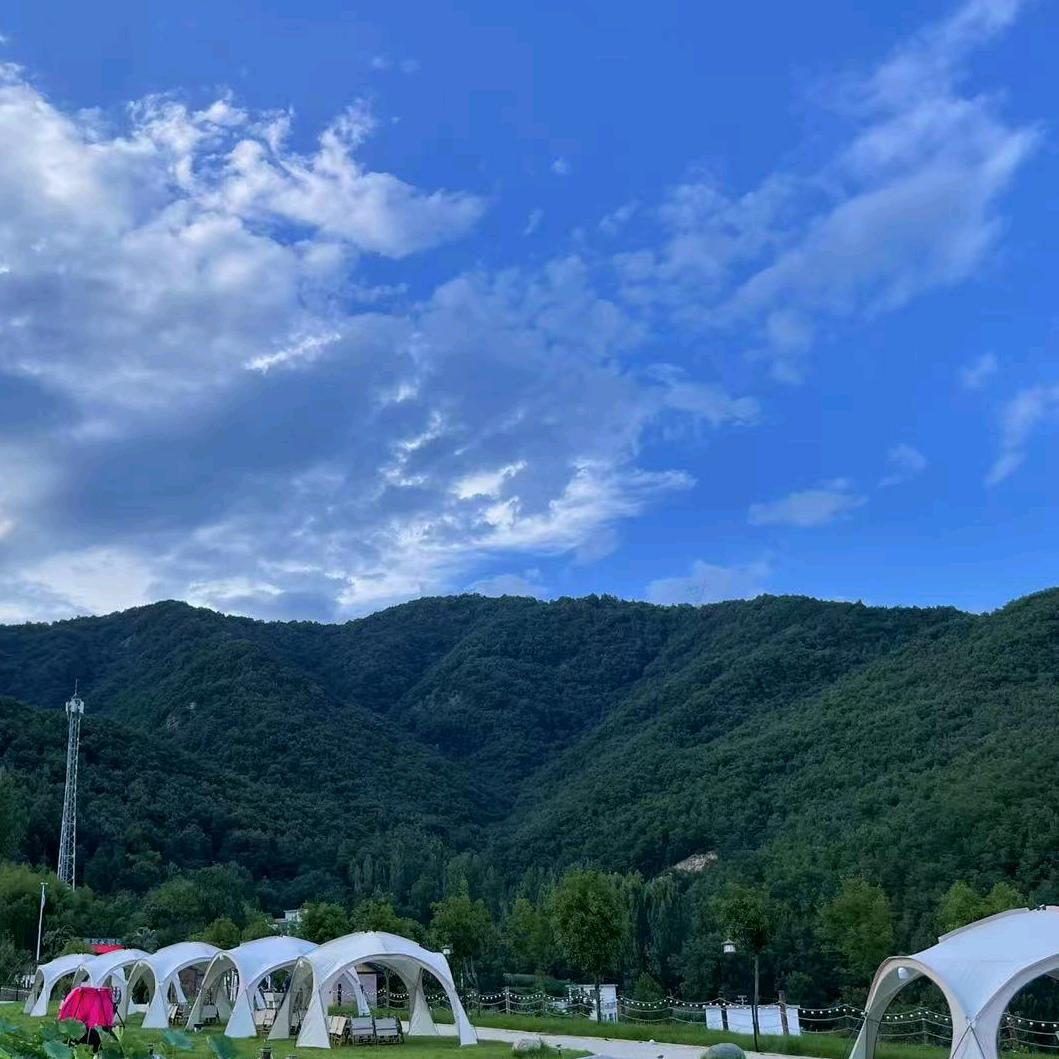 无量寿佛