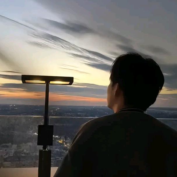 老李不老（ai翻唱）