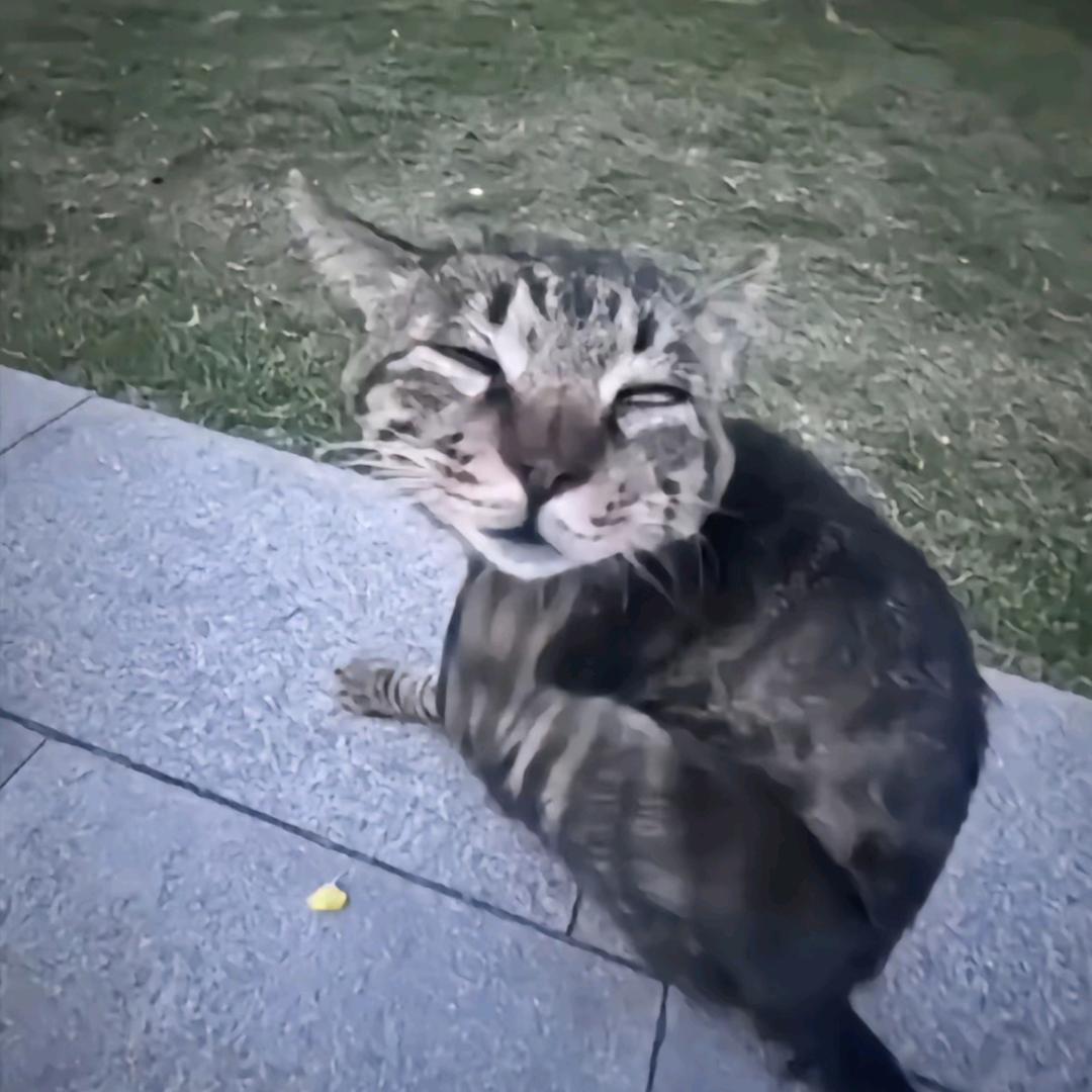 亿嘉电器小蒙🤓