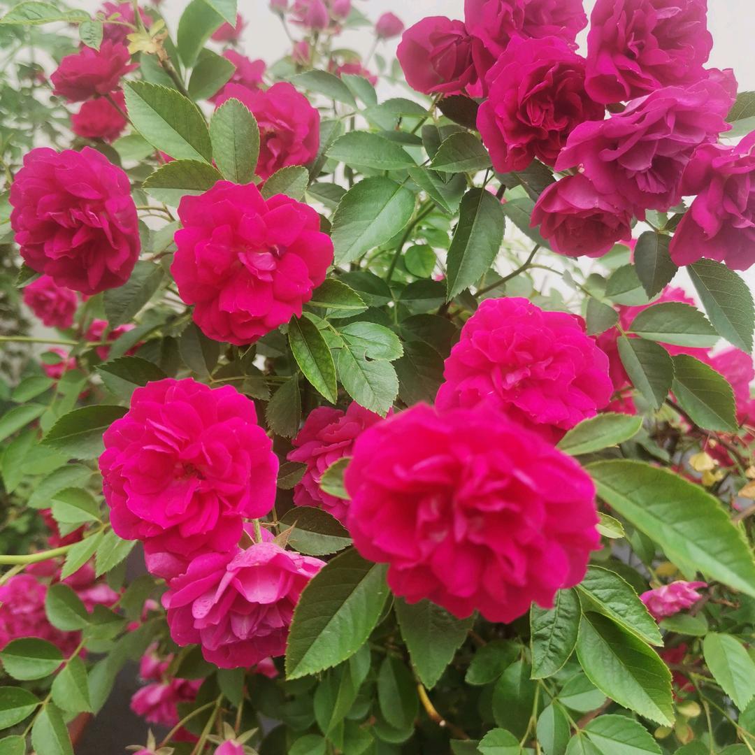 顺其自然，随遇而安