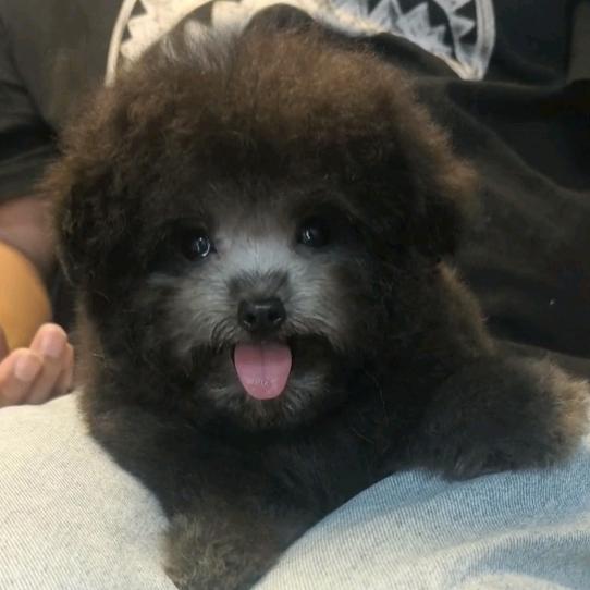 苛轲溪哩滴嗳卿咕誓